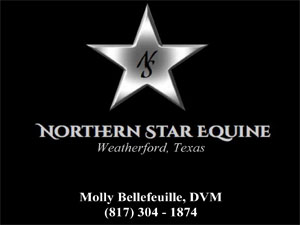 Northern Star Equine