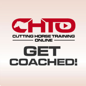 Illustration of the CHTO Get Coached